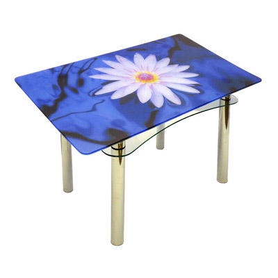 Стол из стекла Ян-1 ТрМр-Б (флора 50)